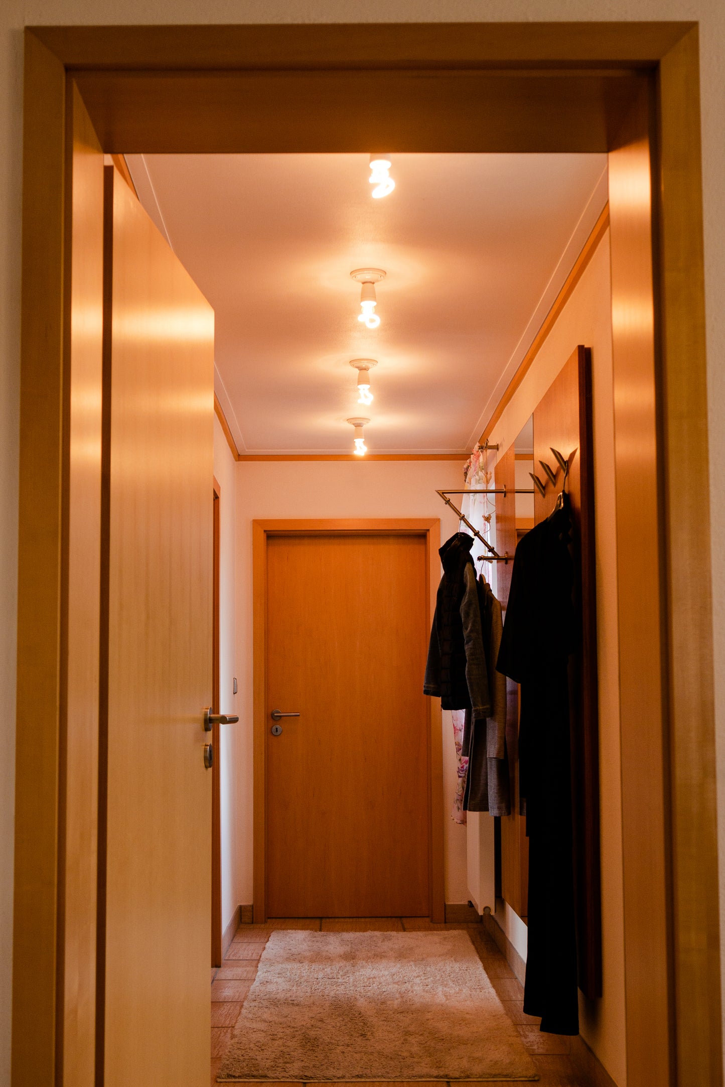 LED Žarnica SEGULA Zanka