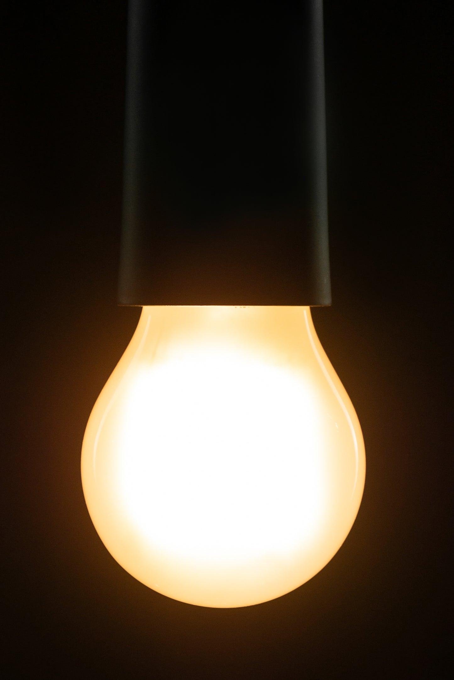 LED Žarnica SEGULA Bučka Svetla Satin